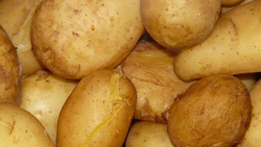 Těsto na knedlíky se rozpadá? Může za to způsob, jakým vaříte vaše brambory!