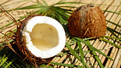 Kokos, kokosový ořech