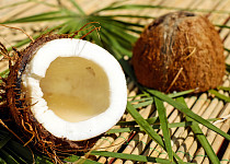 Kokos, kokosový ořech