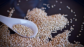 Quinoa