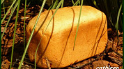 Chléb z domácí pekárny