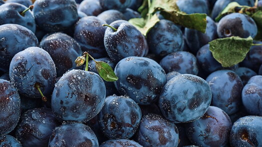 Bílý povlak na švestkách: Možná se mu vyhýbáte. Podle něj však poznáte čerstvost