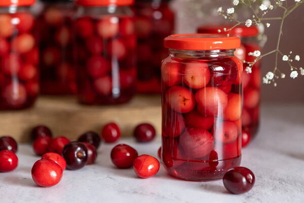 Kompot