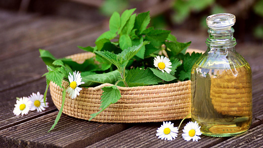 Jak připravit kopřivový sirup. Oblíbené recepty na jednoduchý sirup zastudena i na sirup připravený vařením