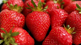 Desatero - jak zpracovat jahody a připravit z nich oblíbené dobroty
