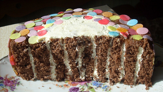 Chcete upéct dort a nemáte dortovou formu? Jde to - podle našich rad a tipů to zvládne každý