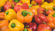 Lečo je výborný letní pokrm, který je nejlepší z čerstvých rajčat, paprik a cibule. Díky mrazničce si lečo můžeme vařit po celý rok