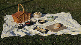 Mezinárodní den pikniku