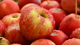 Jak na to, aby nastrouhaná nebo nakrájená jablka nehnědla? Vyzkoušejte osvědčenou techniku našich babiček