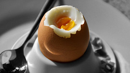 Světový den vajec