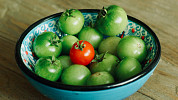 Jak nechat dozrát zelená rajčata? V dobrých podmínkách vydrží až do listopadu. Nezralá se hodí na salát nebo chutney