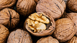 Jak skladovat ořechy ve skořápce? Při dobrém uložení jsou trvanlivou konzervou a vydrží déle než vyloupané