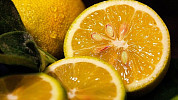 Možností k bezodpadovému využití citronů je více, stačí si vybrat. Kromě šťávy a kůry můžete zpracovat i jadérka a mezistěny. Poradíme
