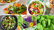 Hubnutí pomocí nízkokalorické stravy: Listová zelenina patří do pestré řady druhů zeleniny s jemnou nebo výraznější chutí