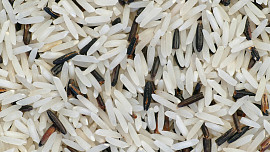 Jak se vaří indiánská rýže? Dříve bývala potravou Indiánů, jedná se vlastně o semeno divoké vodní traviny