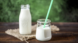 Rostlinná mléka - přehled