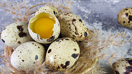 Desatero rad na téma křepelčí vajíčka: Poradíme s přípravou těchto malých vajec plných vitamínů