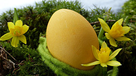 Jak barvit vejce kurkumou? Přírodní cestou docílíte krásně žlutých vajíček