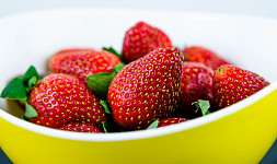 Desatero rad na téma jahody: Jak je vysazovat, pěstovat, sklízet a zpracovat v kuchyni