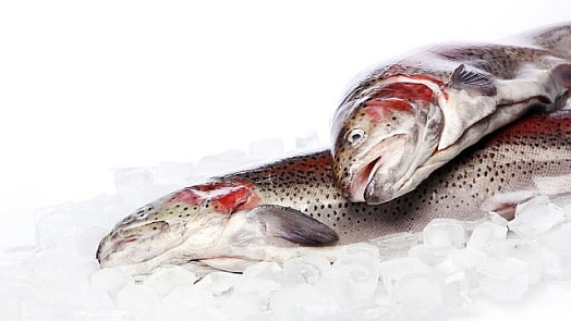 Ryby na grilu: Máme pro vás 3 rady, jak poznat kvalitní mraženou rybu vhodnou ke grilování
