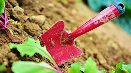 Jak likvidovat plevel na zahradě. Poradíme, jak se ho úspěšně zbavit i bez chemie