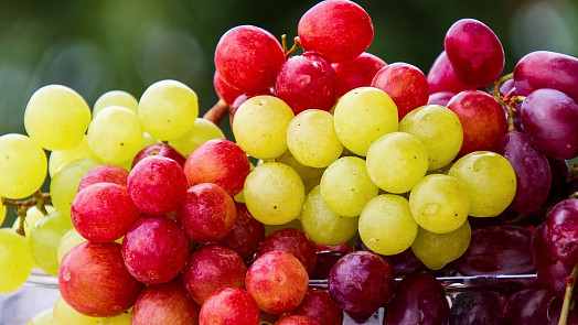 Jak připravit osvěžující letní chuťovku z hroznového vína? Podívejte se na video