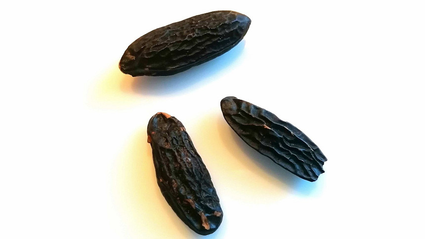 Tonka fazole neboli tonka boby jsou koření se silně aromatickou vůní. Poradíme vám, k čemu se používají
