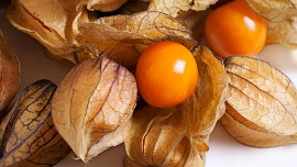 Physalis neboli mochyně peruánská: Znáte tyto jedlé lampionky, které jsou silným antioxidantem?