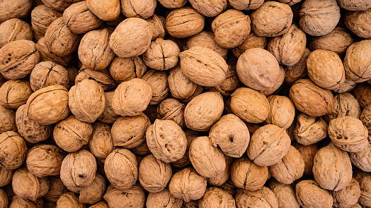 Jak sušit vlašské ořechy: Poradíme vám, co s nimi, aby nezplesnivěly