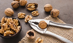 Jak skladovat ořechy? 7 tipů na skladování celých ořechů i vyloupaných jader