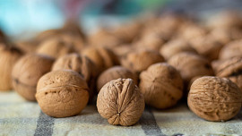6 častých chyb při sušení vlašských ořechů: Správně usušené jsou trvanlivou konzervou