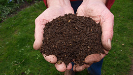 Co nedávat do kompostu? Kvalitní hnojivo získáme z organických materiálů