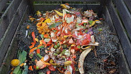 7 častých chyb při kompostování: Na co si dát pozor, aby se kvalitní kompost podařil