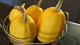 Co připravit ze špagetové dýně? Využití je naprosto univerzální