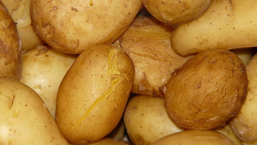 Jak rychle zchladit uvařené brambory. Čekání snadno urychlíme