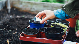 Jak skladovat zahradní semena. Některá mají dlouhou trvanlivost