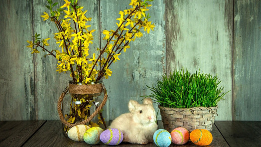 Kvíz na téma velikonoční zvyky a tradice: Jaké jsou vaše znalosti? Ověřte si je