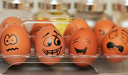 Jak dlouho vydrží vejce v lednici? Poradíme, jak je správně skladovat