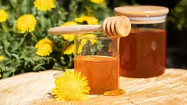 Jak se dělá pampeliškový med? Vydejte se nasbírat první jarní květiny