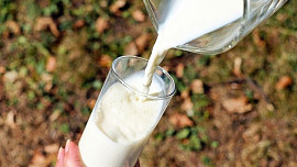 Co všechno víte a nevíte o mléce? Otestujte si své znalosti v našem poučném kvízu