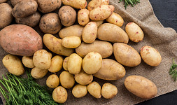 Jak využít staré brambory? Připravujeme z nich báječné pokrmy