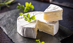 Jak si doma vyrobit plísňový sýr camembert? Poradíme s postupem krok za krokem