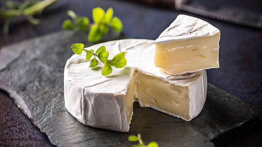 Jak si doma vyrobit plísňový sýr camembert? Poradíme s postupem krok za krokem