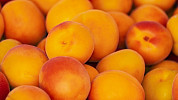 Meruňky jsou sezónní ovoce, se kterým lze v kuchyni doslova čarovat