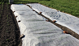 Bílá netkaná textilie na zahradě: Poskytuje rostlinám důležitou ochranu před chladem
