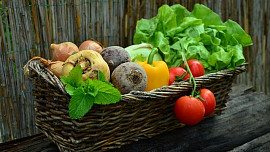 Jak pěstovat a zpracovat zeleninu? Otestujte si s námi své znalosti v krátkém kvízu