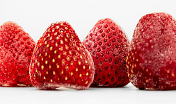 Jak zamrazit jahody? Poradíme, jak správně plody uložit, aby se neslepily