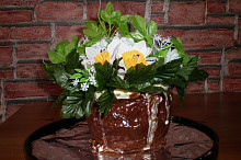 Dort Květináč