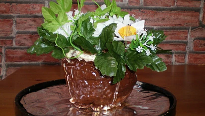 Dort Květináč