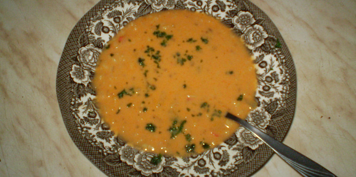 Krabí polévka s bylinkami (Krabí polévka)